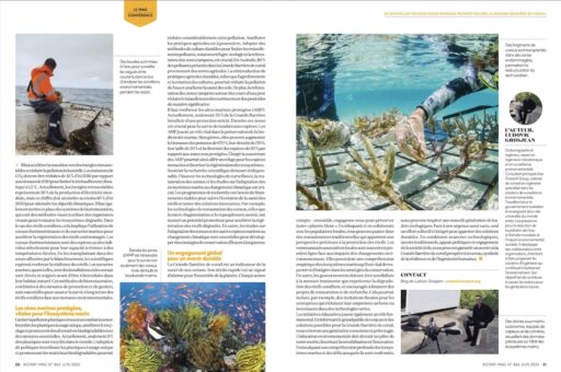 Coral Reef Restoration