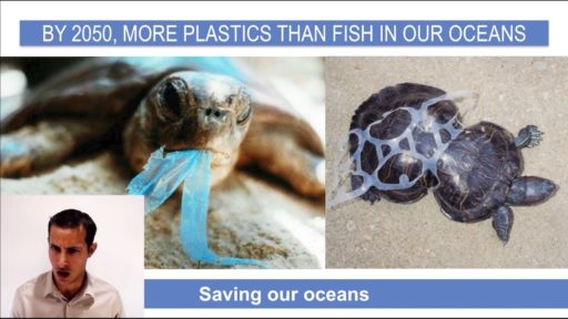 Endangered-species-plastic-ocean