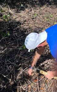 Vic Grosjean - Mangrove planting